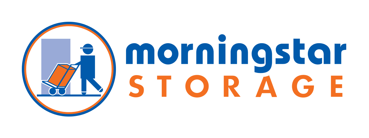 MS Logo